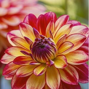 Meet your Posher, Gail